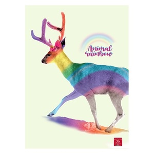 Füzet A4, 38 lap, PIGNA Animal Rainbow, tűzött, kockás