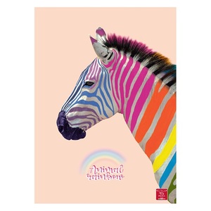 Füzet A4, 38 lap, PIGNA Animal Rainbow, tűzött, kockás