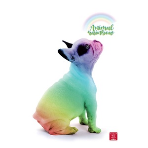 Füzet A4, 38 lap, PIGNA Animal Rainbow, tűzött, kockás