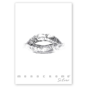 Füzet A4, 38 lap, PIGNA Monocromo Silver, vonalas