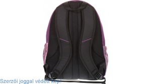 Hátizsák BELMIL 338-39/A Pack-N-Go STREAKY