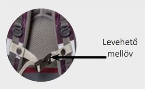 Iskolatáska BELMIL Missy/ Mister, 405-30, Bird 2